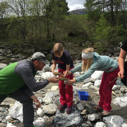 Die jungen Forscher untersuchen Wasserlebewesen.