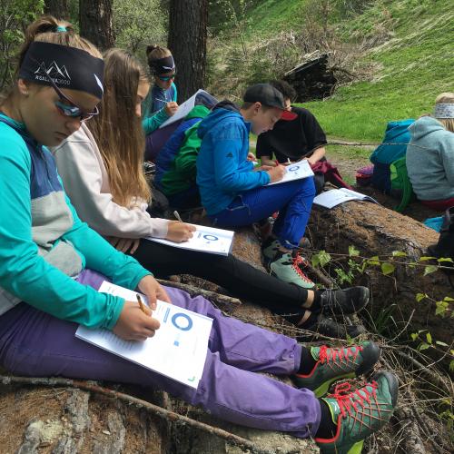 Die Schüler untersuchen den Wald.
